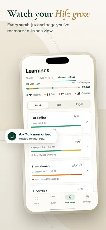 Ayafy Memorization tab showing 179 of 604 pages memorized, with recent, due, aging and overdue counts and a progress bar for each surah